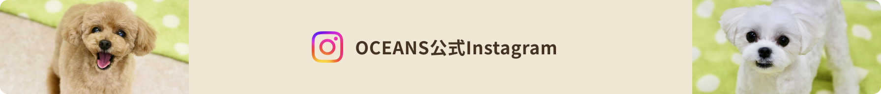 インスタグラムバナー