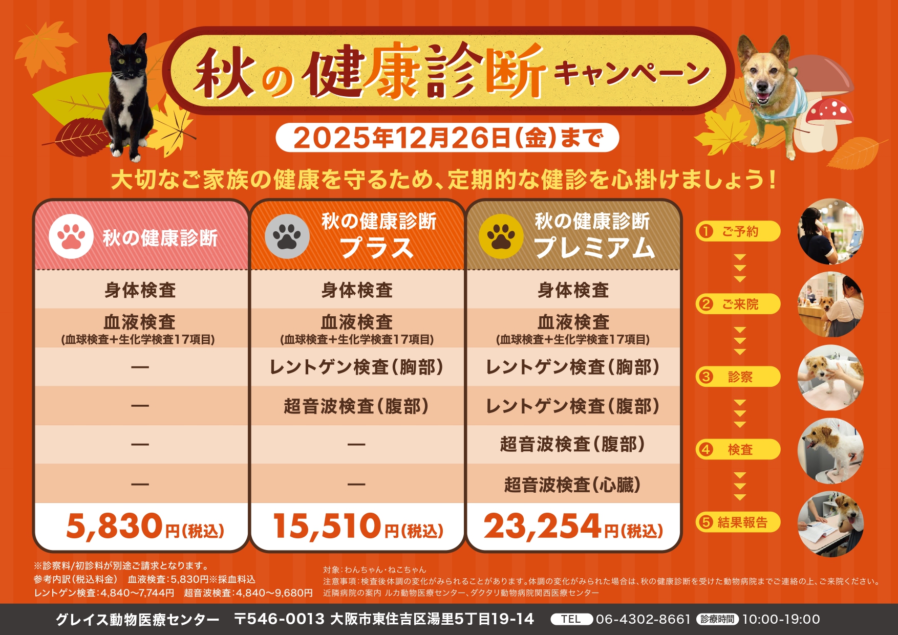 2025秋の健診パック_page-0001