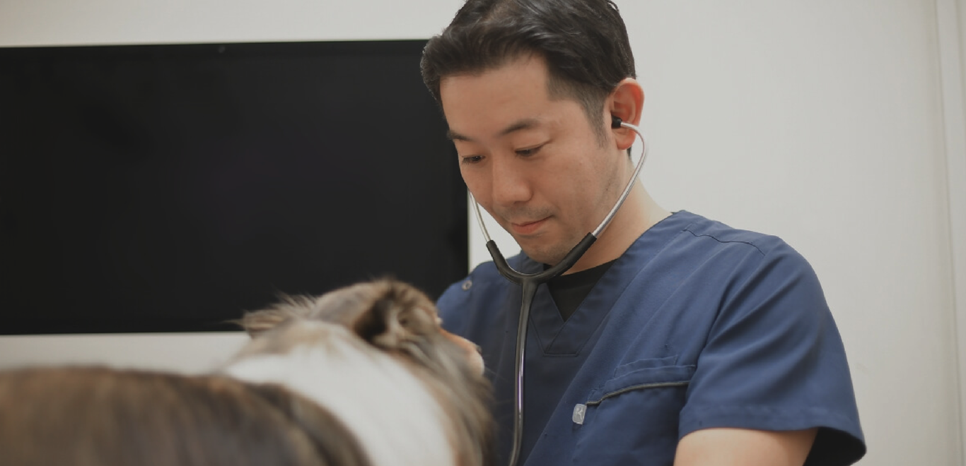 写真：男性医師