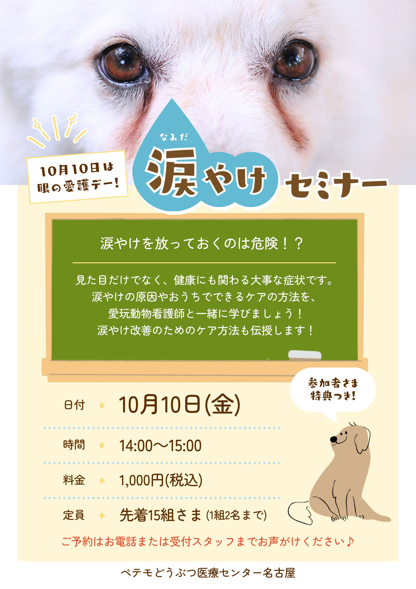 医セン涙やけセミナーチラシ (1)