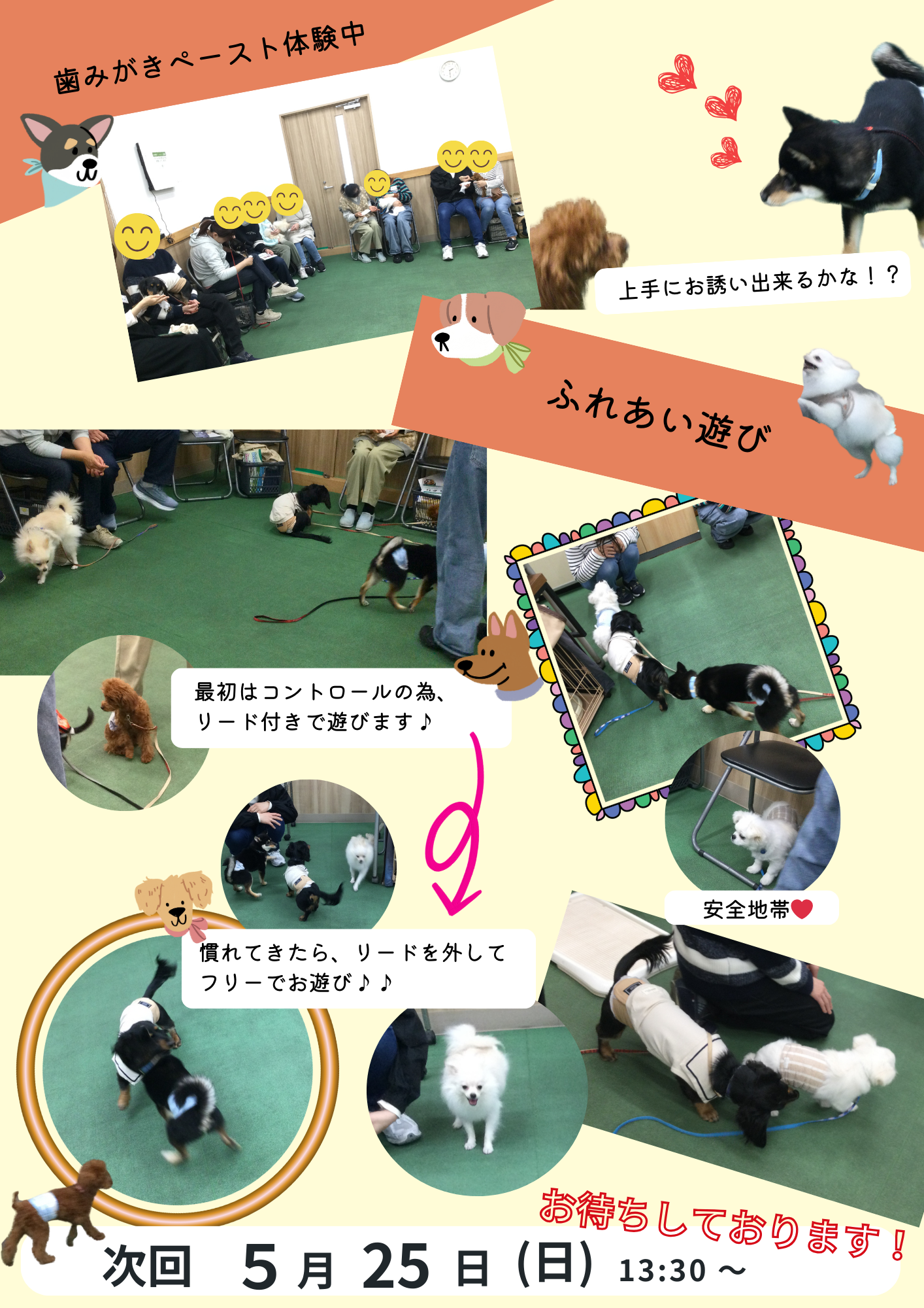 3月PP報告②250509