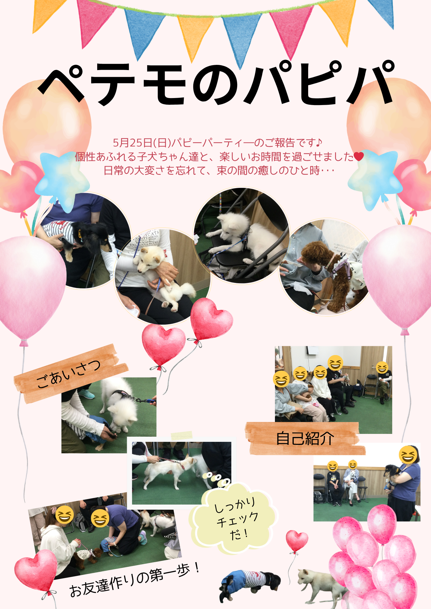 5月PP報告①