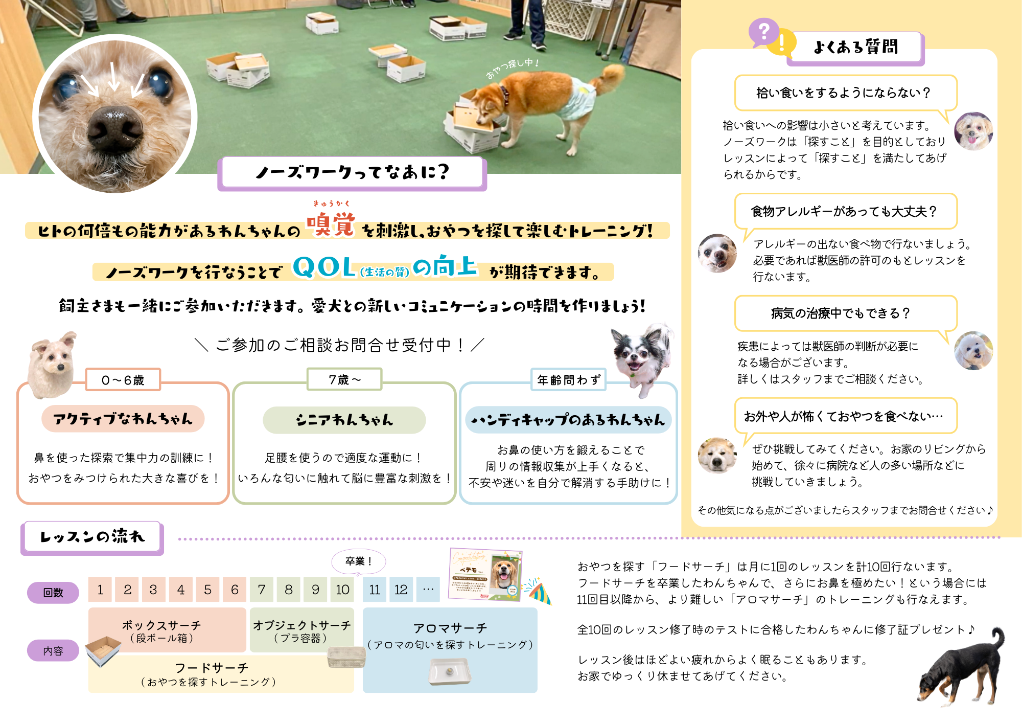 NWリーフレット
