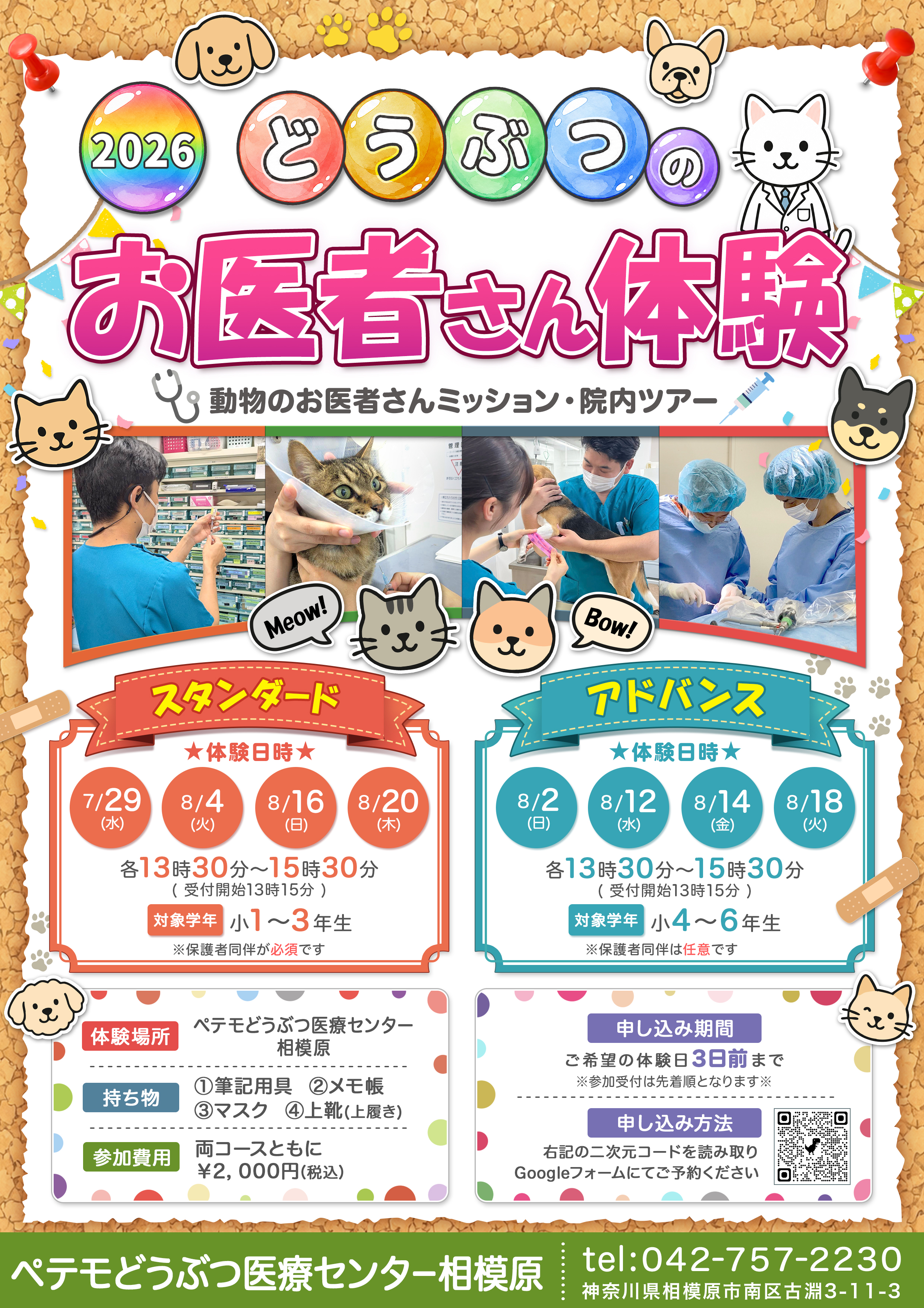 559-【相模原】お医者さん体験告知ポスター2026_0528