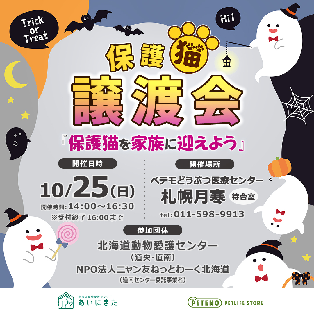 【札幌月寒】愛護センター第3回譲渡会_画像_1080x1080_0918